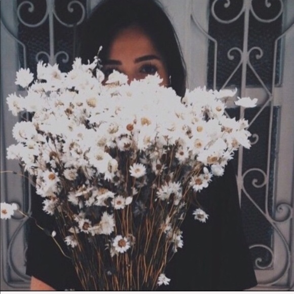 Jolienswindow - Picture 4 of 6